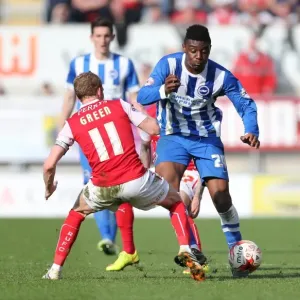 Rohan Ince in Action: Rotherham United vs. Brighton and Hove Albion, Sky Bet Championship, 6th April 2015