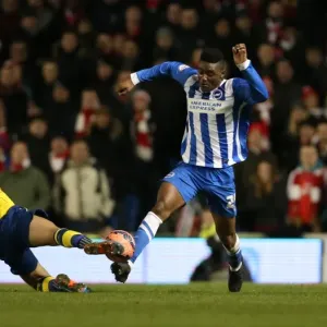 Rohan Ince in FA Cup Action: Brighton & Hove Albion vs. Arsenal (25Jan15) Rohan Ince in FA Cup Action: Brighton & Hove Albion vs. Arsenal (25Jan15)