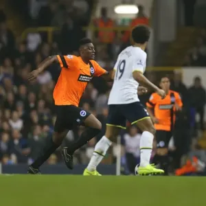 Rohan Ince Fights for Brighton And Hove Albion Against Tottenham Hotspur in Capital One Cup Clash, 29th October 2014 Rohan Ince Fights for Brighton And Hove Albion Against Tottenham Hotspur in Capital One Cup Clash, 29th October 2014