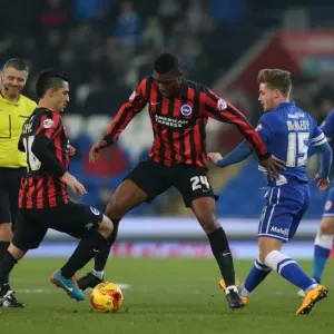 Rohan Ince: Midfield Battle in Cardiff City vs. Brighton and Hove Albion, Sky Bet Championship 2015 Rohan Ince: Midfield Battle in Cardiff City vs. Brighton and Hove Albion, Sky Bet Championship 2015