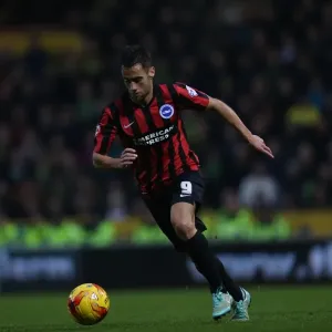 Saam Baldock in Action: Norwich City vs. Brighton & Hove Albion, Carrow Road, 2014 Saam Baldock in Action: Norwich City vs. Brighton & Hove Albion, Carrow Road, 2014