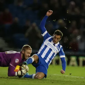 Sam Baldock in Action: Brighton and Hove Albion vs. Wigan Athletic, Sky Bet Championship, American Express Community Stadium (Nov. 8, 2014)