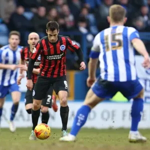 Sam Baldock in Action: Sheffield Wednesday vs. Brighton & Hove Albion, Championship Clash at Hillsborough (14FEB15) Sam Baldock in Action: Sheffield Wednesday vs. Brighton & Hove Albion, Championship Clash at Hillsborough (14FEB15)