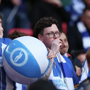 Sea of Albion Fans at Wembley: FA Cup Semi-Final vs Manchester United (23APR23) Sea of Albion Fans at Wembley: FA Cup Semi-Final vs Manchester United (23APR23)