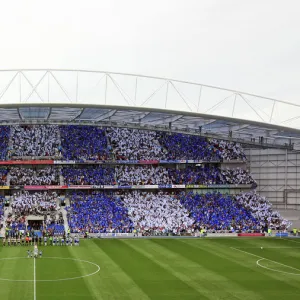 Sea of Blue and White: The First Competitive Match at American Express Community Stadium, August 6, 2011