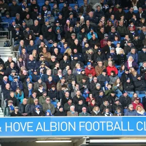 Sea of Passion: Brighton and Hove Albion vs. Birmingham City (21FEB15) Sea of Passion: Brighton and Hove Albion vs. Birmingham City (21FEB15)