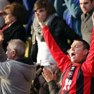 A Sea of Passion: Brighton & Hove Albion vs. Peterborough United (October 30, 2010) - The Intense Energy of the Crowd