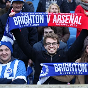 Sea of Passionate Fans: Brighton & Hove Albion vs Arsenal FA Cup Showdown (25Jan15)