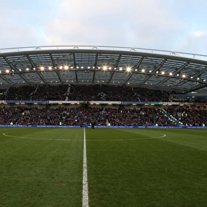 Sea of Passionate Fans: Brighton & Hove Albion vs. Arsenal FA Cup Showdown (25Jan15)