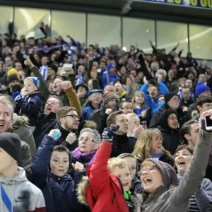 Sea of Passionate Fans: Brighton & Hove Albion vs. Arsenal FA Cup Showdown (25Jan15) Sea of Passionate Fans: Brighton & Hove Albion vs. Arsenal FA Cup Showdown (25Jan15)