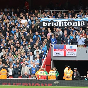 Sea of Seagulls: Brighton Fans at the Emirates (01OCT17)