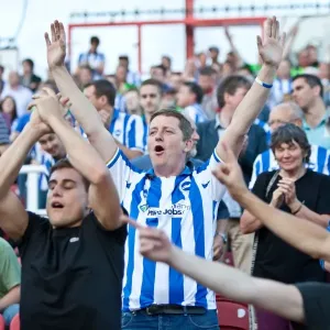 Sea of Seagulls: Brighton and Hove Albion Away Days 2012-13 Sea of Seagulls: Brighton and Hove Albion Away Days 2012-13
