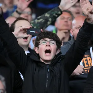 Sea of Seagulls: Brighton and Hove Albion Away Days 2012-13