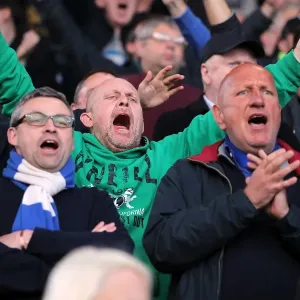 Sea of Seagulls: Brighton and Hove Albion Away Days 2012-13