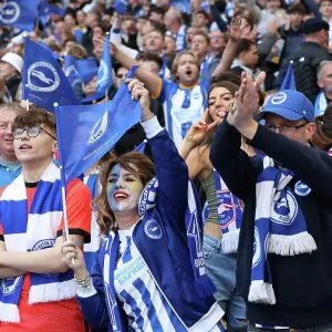 Sea of Seagulls: Brighton and Hove Albion FA Cup Semi-Final vs Manchester United at Wembley (23APR23) Sea of Seagulls: Brighton and Hove Albion FA Cup Semi-Final vs Manchester United at Wembley (23APR23)