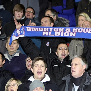 Sea of Seagulls: Brighton & Hove Albion FC Fans at Southampton (Nov 2010)