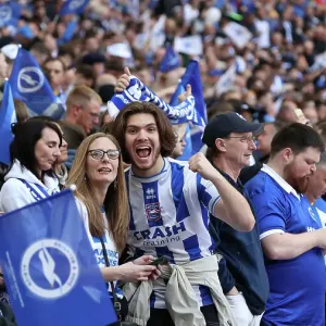 Sea of Seagulls: Brighton and Hove Albion's FA Cup Semi-Final Showdown against Manchester United at Wembley (23APR23) Sea of Seagulls: Brighton and Hove Albion's FA Cup Semi-Final Showdown against Manchester United at Wembley (23APR23)