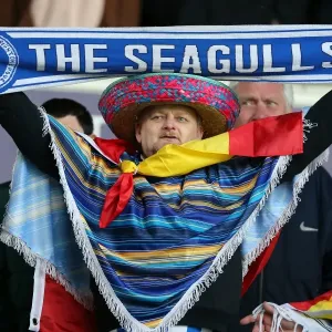Sea of Supporters: Brighton & Hove Albion Away Games 2012-13