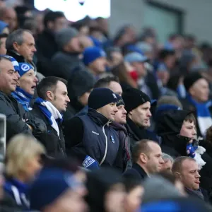 Sea of Supporters: Brighton & Hove Albion vs. Nottingham Forest at the American Express Community Stadium (7th February 2015) Sea of Supporters: Brighton & Hove Albion vs. Nottingham Forest at the American Express Community Stadium (7th February 2015)