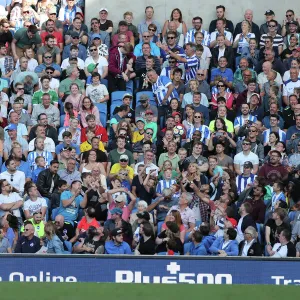 Sea of Supporters: Brighton and Hove Albion vs Atletico de Madrid at American Express Community Stadium (06AUG17)