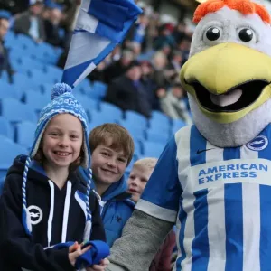 Sea of Supporters: Brighton & Hove Albion vs Birmingham City at the American Express Community Stadium (21 February 2015) Sea of Supporters: Brighton & Hove Albion vs Birmingham City at the American Express Community Stadium (21 February 2015)