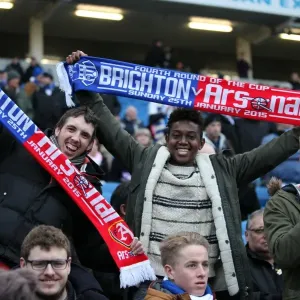 Seagulls FA Cup Clash: Brighton Fans Amidst a Sea of Supporters (25Jan15) vs. Arsenal Seagulls FA Cup Clash: Brighton Fans Amidst a Sea of Supporters (25Jan15) vs. Arsenal