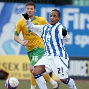 Seb Carole