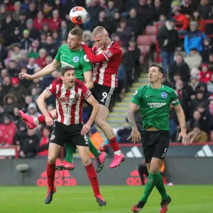 2019_20 Season Metal Print Collection: Sheffield United 22FEB20