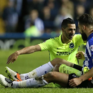 Sheffield Wednesday v Brighton and Hove Albion Sky Bet Championship Play Off First