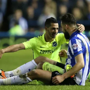 Sheffield Wednesday v Brighton and Hove Albion Sky Bet Championship Play Off First