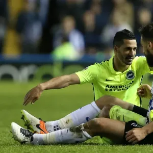 Sheffield Wednesday v Brighton and Hove Albion Sky Bet Championship Play Off First