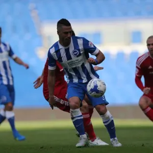 Sky Bet Championship: Brighton & Hove Albion vs. Cardiff City, October 2015 - Intense Match Action Sky Bet Championship: Brighton & Hove Albion vs. Cardiff City, October 2015 - Intense Match Action
