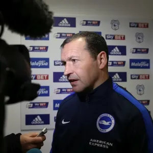 Sky Bet Championship Clash: Cardiff vs. Brighton at Cardiff City Stadium (20FEB16) Sky Bet Championship Clash: Cardiff vs. Brighton at Cardiff City Stadium (20FEB16)