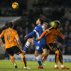 Sky Bet Championship Showdown: Brighton & Hove Albion vs. Wolverhampton Wanderers (01.01.2016) Sky Bet Championship Showdown: Brighton & Hove Albion vs. Wolverhampton Wanderers (01.01.2016)