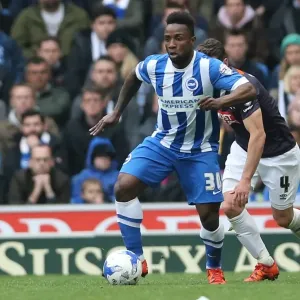 Sky Bet Championship Showdown: Brighton & Hove Albion vs. Derby County (02.05.2016)