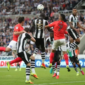 Sky Bet Championship Showdown: Newcastle United vs. Brighton and Hove Albion at St. James Park (27/08/2016) Sky Bet Championship Showdown: Newcastle United vs. Brighton and Hove Albion at St. James Park (27/08/2016)