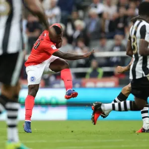 Sky Bet Championship Showdown: Newcastle United vs. Brighton and Hove Albion at St. James Park (27/08/2016) Sky Bet Championship Showdown: Newcastle United vs. Brighton and Hove Albion at St. James Park (27/08/2016)