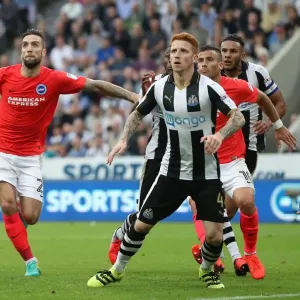 Sky Bet Championship Showdown: Newcastle United vs. Brighton and Hove Albion at St. James Park (27/08/2016) Sky Bet Championship Showdown: Newcastle United vs. Brighton and Hove Albion at St. James Park (27/08/2016)