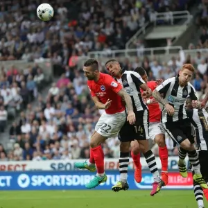 Sky Bet Championship Showdown: Newcastle United vs. Brighton & Hove Albion at St. James Park (27-08-2016) Sky Bet Championship Showdown: Newcastle United vs. Brighton & Hove Albion at St. James Park (27-08-2016)