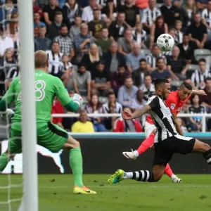 Sky Bet Championship Showdown: Newcastle United vs. Brighton and Hove Albion at St. James Park (27/08/2016) Sky Bet Championship Showdown: Newcastle United vs. Brighton and Hove Albion at St. James Park (27/08/2016)