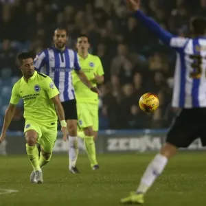 Sky Bet Championship Showdown: Sheffield Wednesday vs. Brighton & Hove Albion at Hillsborough Stadium (03NOV15) Sky Bet Championship Showdown: Sheffield Wednesday vs. Brighton & Hove Albion at Hillsborough Stadium (03NOV15)
