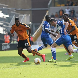 Sky Bet Championship Showdown: Wolverhampton Wanderers vs. Brighton and Hove Albion at Molineux Stadium (August 2015)