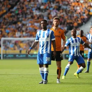 Sky Bet Championship Showdown: Wolverhampton Wanderers vs. Brighton and Hove Albion at Molineux Stadium (17/09/2015) Sky Bet Championship Showdown: Wolverhampton Wanderers vs. Brighton and Hove Albion at Molineux Stadium (17/09/2015)