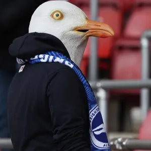 Southampton and Brighton and Hove Albion Premier League 22FEB25 Southampton and Brighton and Hove Albion Premier League 22FEB25