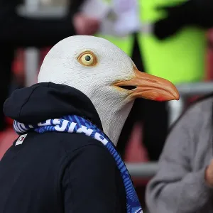 Southampton and Brighton and Hove Albion Premier League 22FEB25 Southampton and Brighton and Hove Albion Premier League 22FEB25