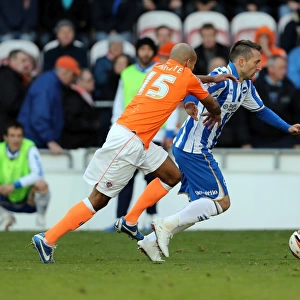 Stephen Dobbie: Thrilling Moments from Blackpool vs. Brighton & Hove Albion, Npower Championship (October 27, 2012)