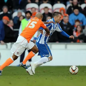 Stephen Dobbie: Thrilling Moments from Blackpool vs. Brighton & Hove Albion, Npower Championship (October 27, 2012) Stephen Dobbie: Thrilling Moments from Blackpool vs. Brighton & Hove Albion, Npower Championship (October 27, 2012)