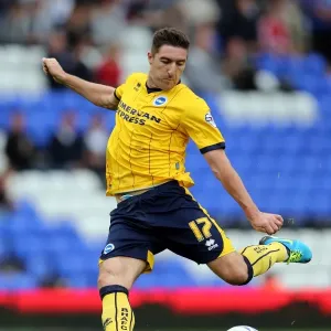 Stephen Ward in Action: Birmingham City vs. Brighton & Hove Albion, Sky Bet Championship, August 17, 2013 Stephen Ward in Action: Birmingham City vs. Brighton & Hove Albion, Sky Bet Championship, August 17, 2013