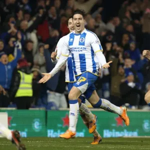 Stephen Ward's Double: Brighton & Hove Albion vs. QPR, March 11, 2014