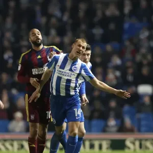 Steve Sidwell of Brighton & Hove Albion in Action Against Ipswich Town, EFL Sky Bet Championship 2017